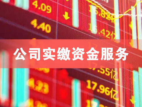 凤阳公司实缴资金服务