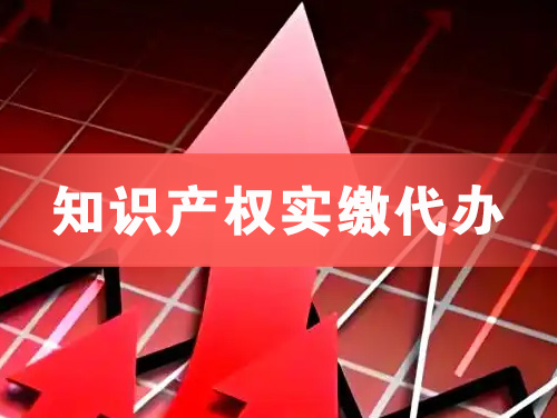 凤阳知识产权实缴资本代办